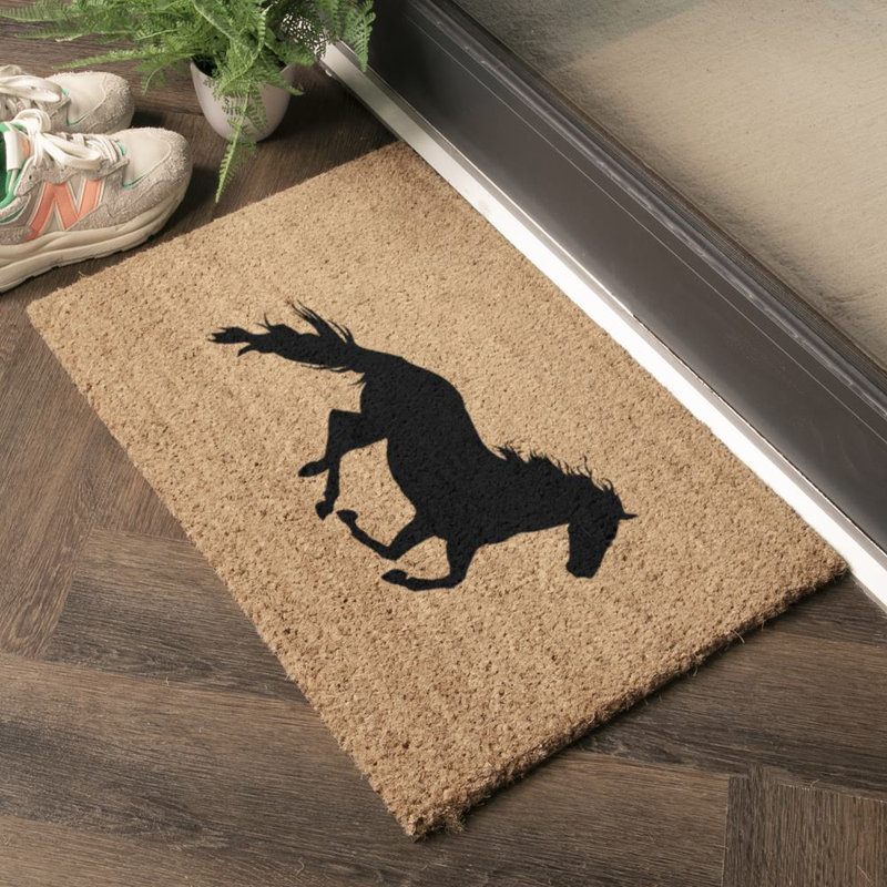 Drakeford Non-Slip Outdoor Doormat