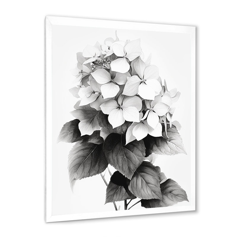 " Gray White Hydrangea Bloom IV ", White Picture Framed, 32" H x 24" W x 1" D