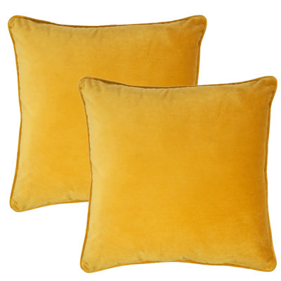  Square Velvet Pillow Cover & Insert