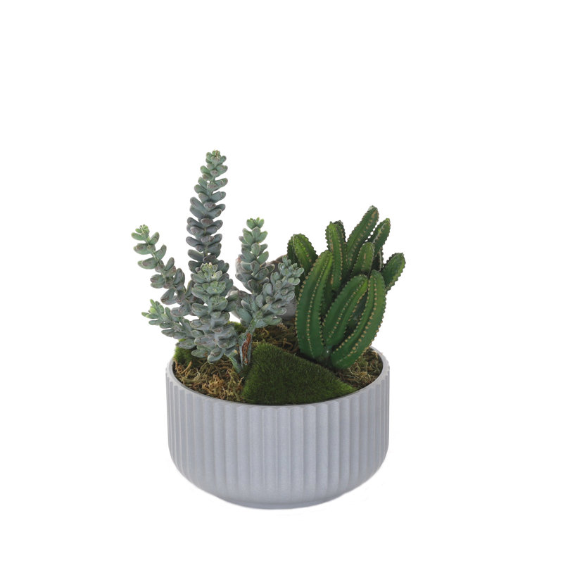 Faux Cactus Succulent in Pot