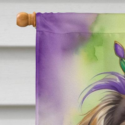 Double Sided 28'' H x 40'' W Polyester Mardi Gras House Flag
