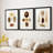Knorr Shells IV  -Custom Framed  Premium Print W Matt - 3 Pieces