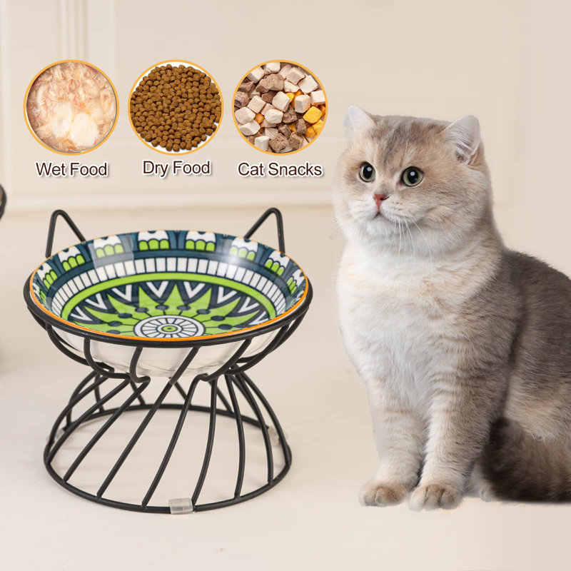 Rosalita Elevated Feeder