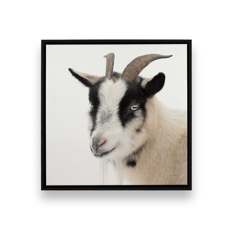 "Pippa the Goat IV" par Deborah Revell, reproduction d'art sur toile, Noir, Cadre flottant, H 12 po x l 12 po