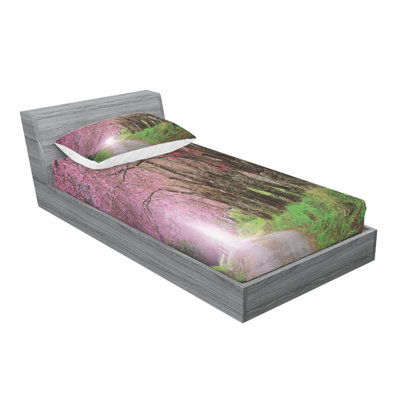 Microfiber Sheet Set