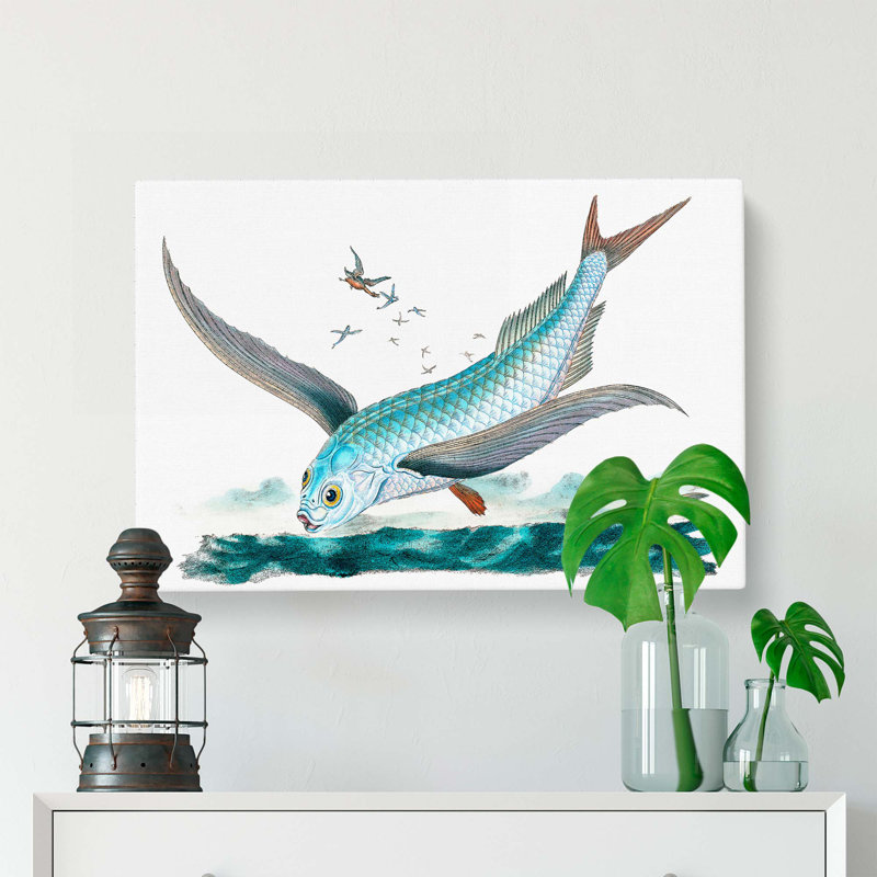 Flying-Fish by Edward Donovan - Wrapped Canvas, 40cm H x 60cm W x 3cm D