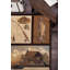 Tapis brun-16344779