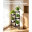 Plant Stand