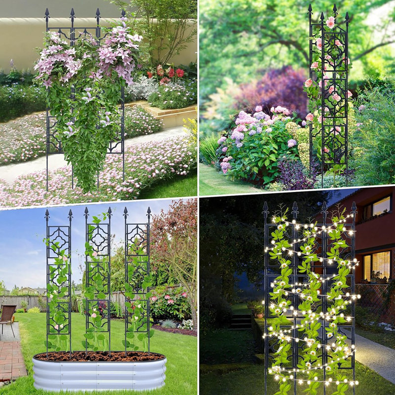 Treillis de jardin pour plantes grimpantes, Deaunbr Tall Plant Support O ...