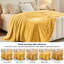 Couverture molletonnée en polyester moelleux Alaska-382226022-363026701