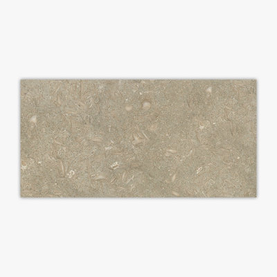 Seagrass Honed 12x24 Limestone Tile