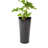 Leyanna Self-Watering Pot Planter-170647359