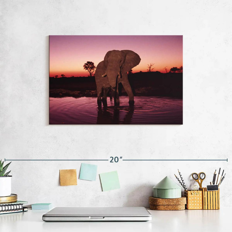 Elephant Sunrise Bathing, 8" H x 12" W