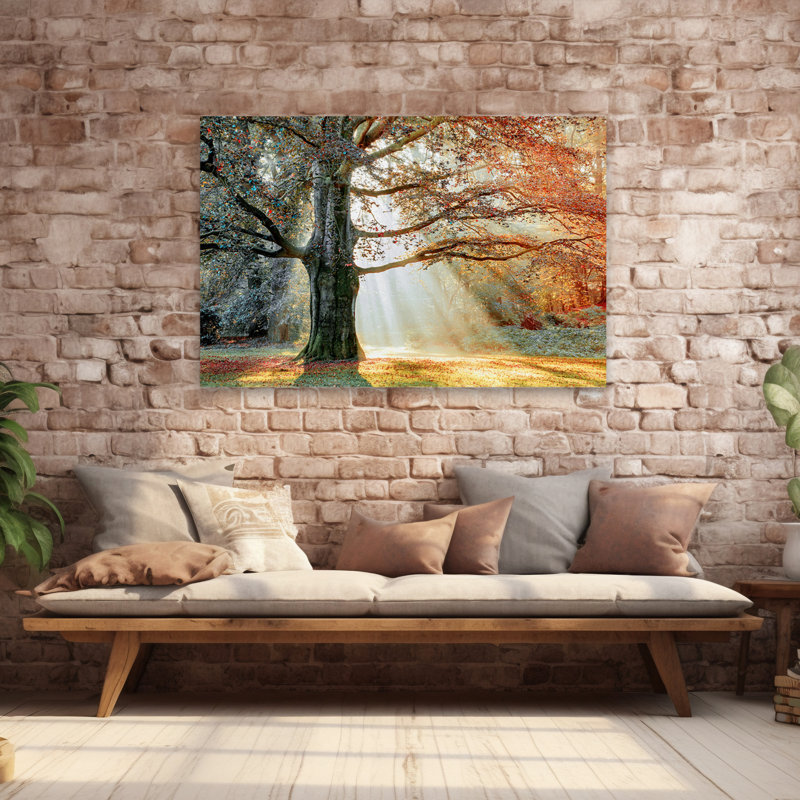 «Basking In The Sun», photographie de paysages d'arbres d'automne, H 40 po x l 60 po