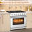 36" Freestanding Gas Range with 6 Sealed Burners & 6.0 Cu.Ft Convection Oven, Stainless Steel