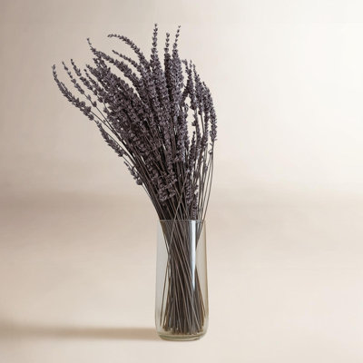 Modern Art Preserved Lavender Stems