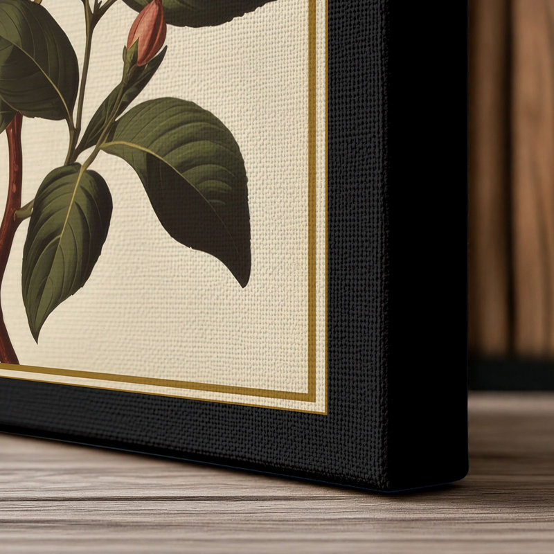 Study Botanical - Wrapped Canvas, 18x12 - 45.7 x 30.5 cm, Black Border
