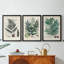 Collectionner Ferns VI - Toile tendue avec châssis sur mesure - 3 pièces-1943549601-1943549607