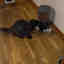 Customer photo 2 of 3