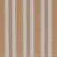 Parasol Stripe-1801348923