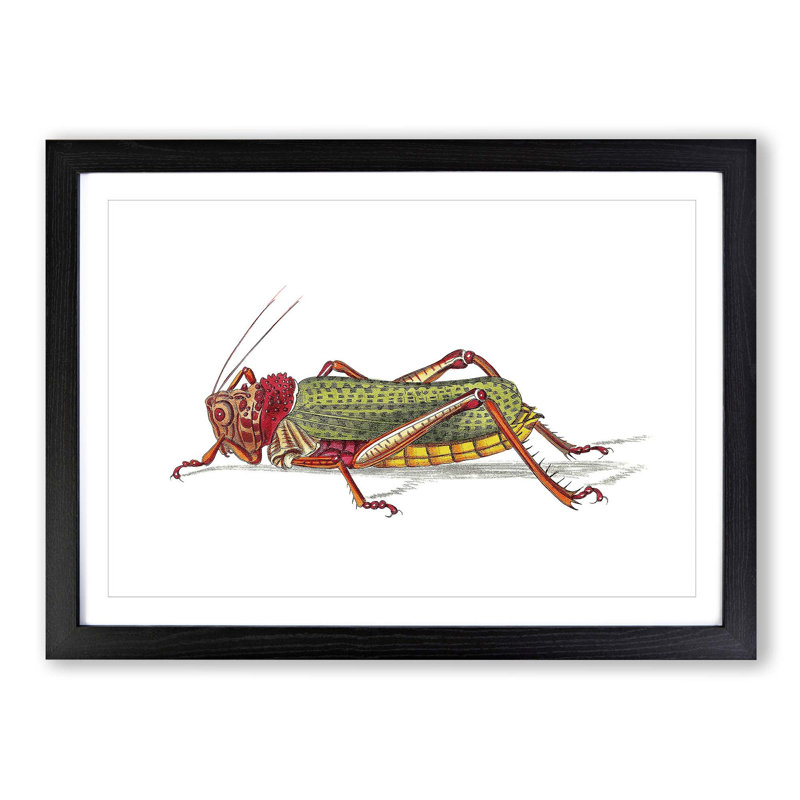 Granulated Locust by George Shaw - Picture Frame Painting Print, 27cm H x 36cm W x 2cm D, Black Framed