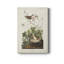 Pl 193 Lincoln Finch - reproduction sur toile tendue-493808388