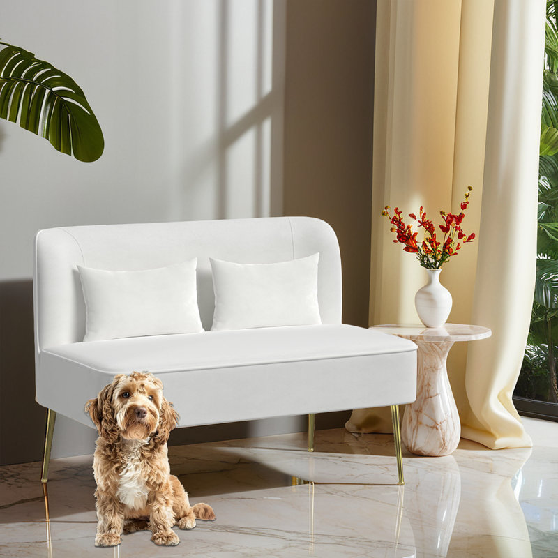 High-end 2-Seater Velvet Loveseat Couch With Pillows For Living Room, Beige