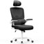 Motonobu Ergonomic Office Chair with Mesh Lumbar Support-631788498-631788500