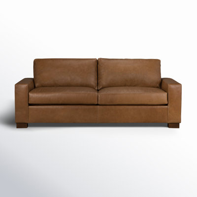 Jonie 91" Genuine Leather Sleeper Sofa