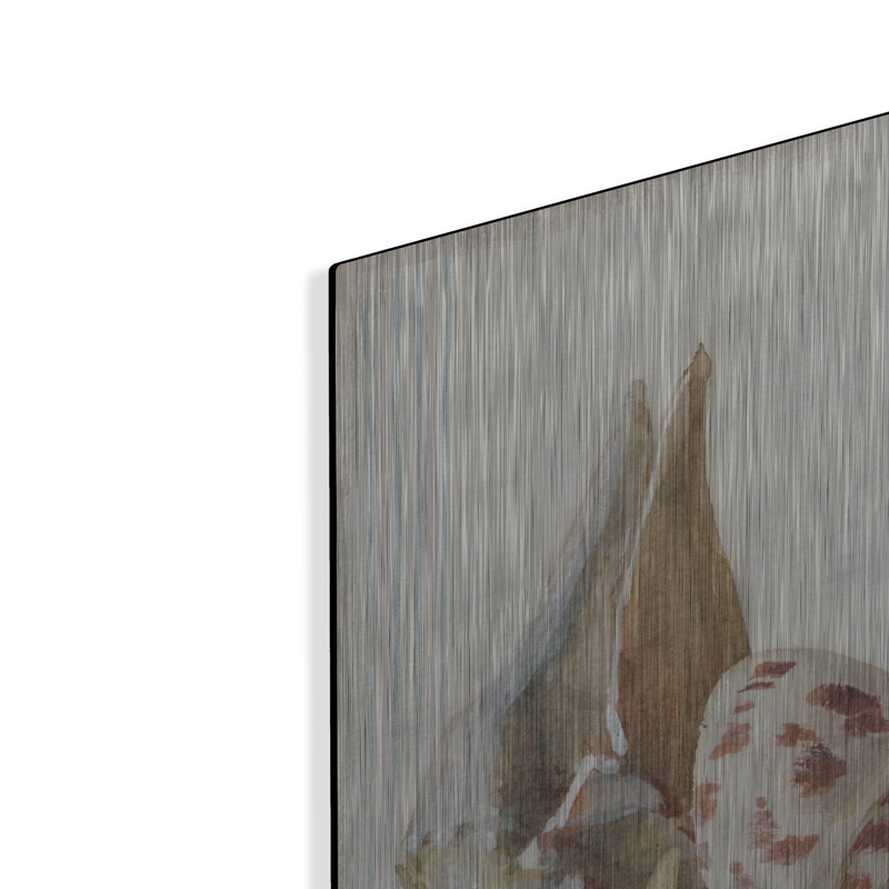 Art mural en métal Beachcrest Home ™ «Floursack Nautical Shells 2» par Danhui Nai