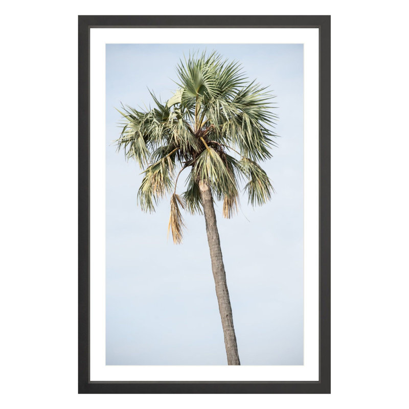 Tanzanian Palm by Amanda Anderson, Black, 36" H x 24" W x 1.88" D