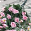 Rose Arrangement