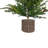 SEASONAL GREENERY TREE PINE BSKT 3FT