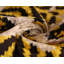Coussin en velours de soie doré Golden Tiger