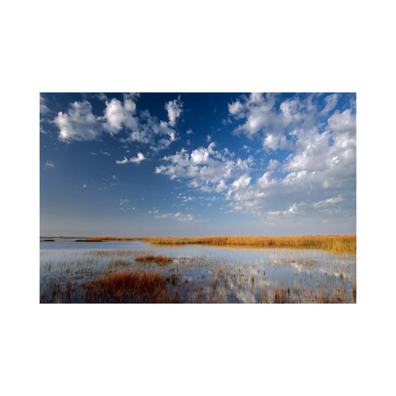 Marsh, Padre Island National Seashore, Texas 1 Piece Wrapped Canvas Wall Art, 20.32 cm H x 30.48 cm W
