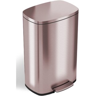https://assets.wfcdn.com/im/92276563/resize-h310-w310%5Ecompr-r85/9132/91320825/softstep-deodorizer-stainless-steel-13-gallon-step-on-trash-can.jpg