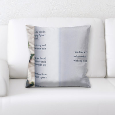 Coussin décoratif me souhaitant que je pourrais voler