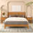 Natsu 2 - Drawer Nightstand in Brown