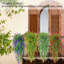 Arrangement floral lavande-88578027