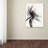 Wrapped Canvas Wall Art - Debra Van Swearingen 'Translucent Peony IIBW' Wall Art for Living Room, Bedroom, or Office Décor - 14x19-22563516