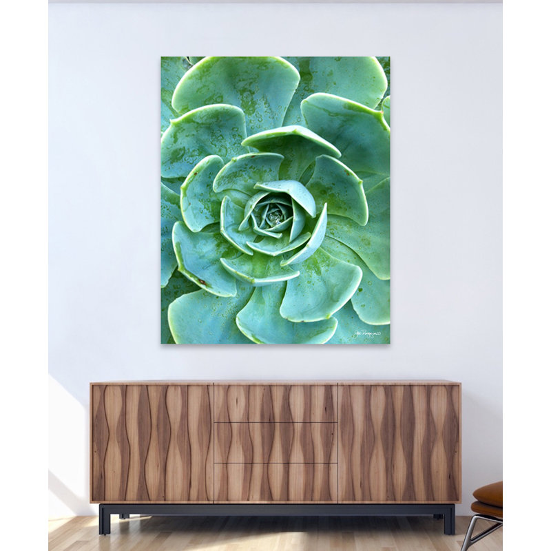 Succulent Center 1 Print by Joe Ruggiero