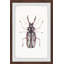 Artsy Insect - Cadre photo, reproduction d'art sur papier-26129162
