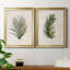 Palm Botanical I - ensemble de 2 photographies sur toile-1425392431-1425392436-1350425250
