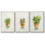 Succulent I, encadré sur toile, 3 pièces-163068310-163068307