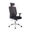 High Back Executive Mesh Office Chair With Arms