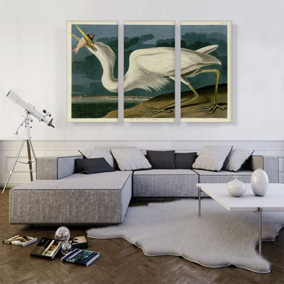 " Great White Heron " by James Audubon 3 - Pieces Painting Print