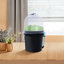 Ensemble de culture Bonis Hydroponics