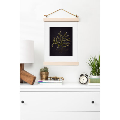 « herb jardin citron thyme », impression