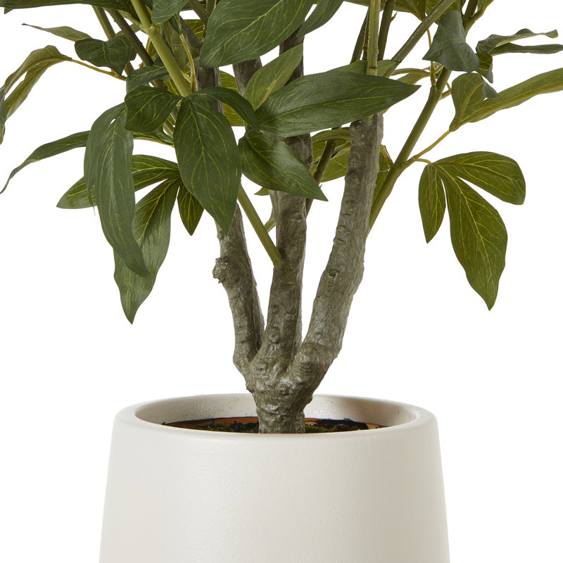 Annitta 106cm Plant in Pot
