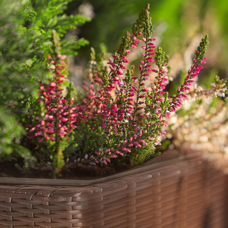 Planter Box, Black